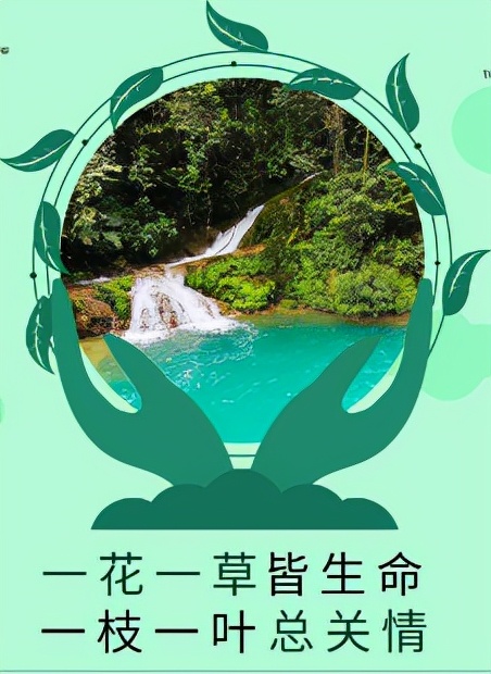 怎样保护环境,怎样保护环境作文