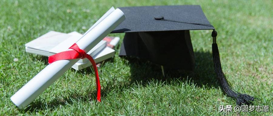 大学好就业的专业排名女生,大学好就业的专业赚钱