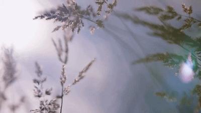 这也能拍出花?网飞又开挂了,每集都让我惊掉下巴