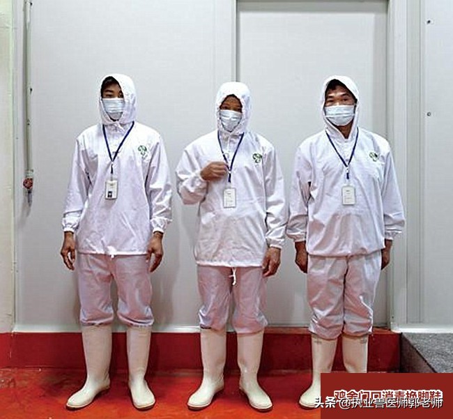 规模化养鸡日常管理,蛋鸡养殖场消毒方法有哪些