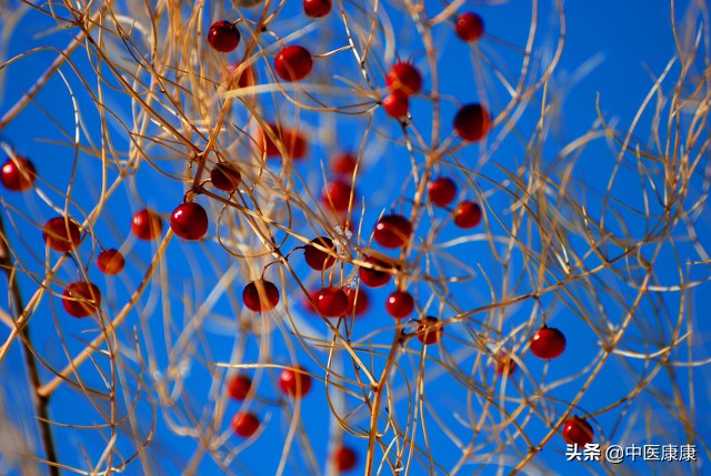 什么中药方治中风后半身不遂症,中风半身不遂加什么中药