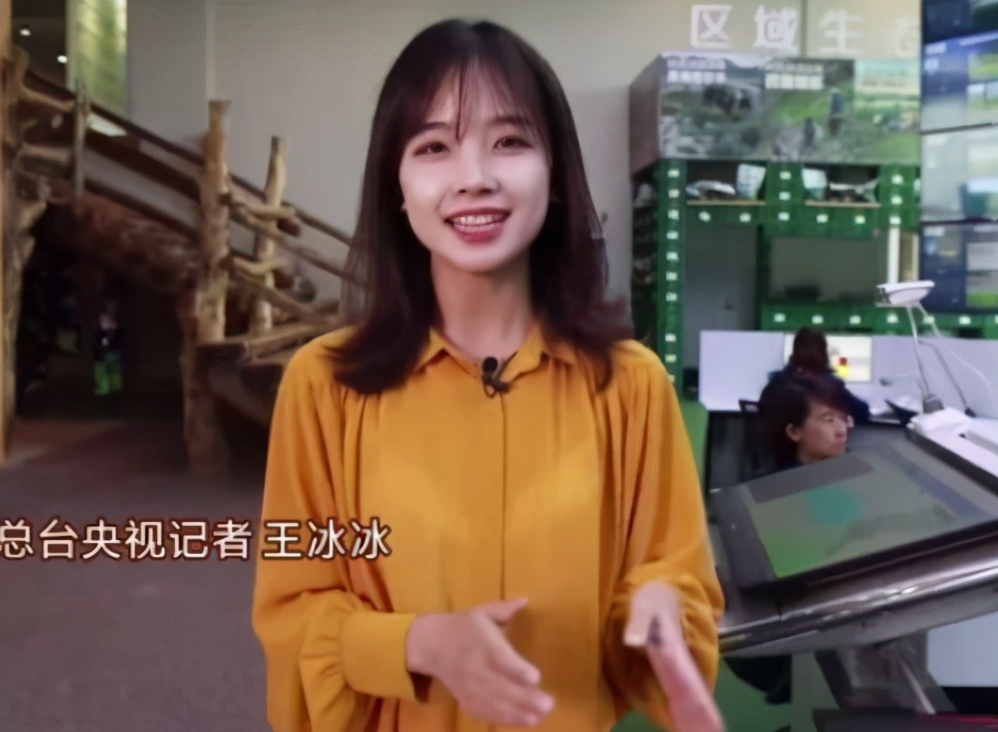 看央视节目,看央视