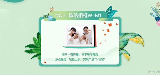 又到一年赏荷季又见荷花,广州莲花山荷花