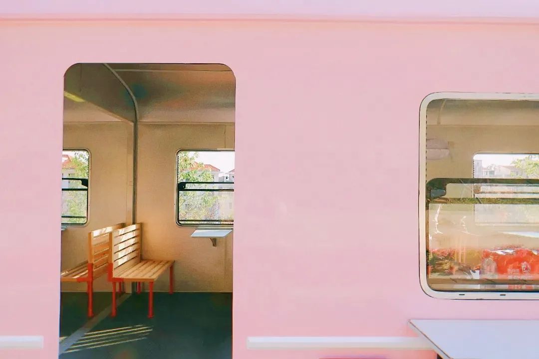 深圳樱花专列,深圳蛇口樱花列车