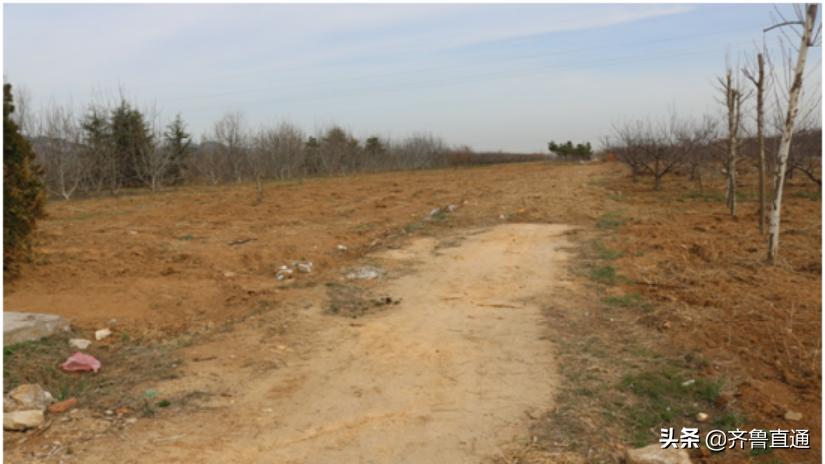 我为群众办实事助推优化营商环境,我为群众办实事助推企业发展