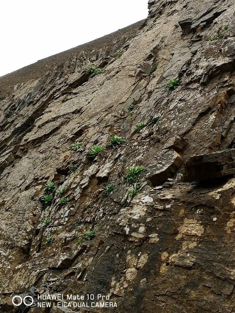 传说中的天狼之路，是否值得一走？