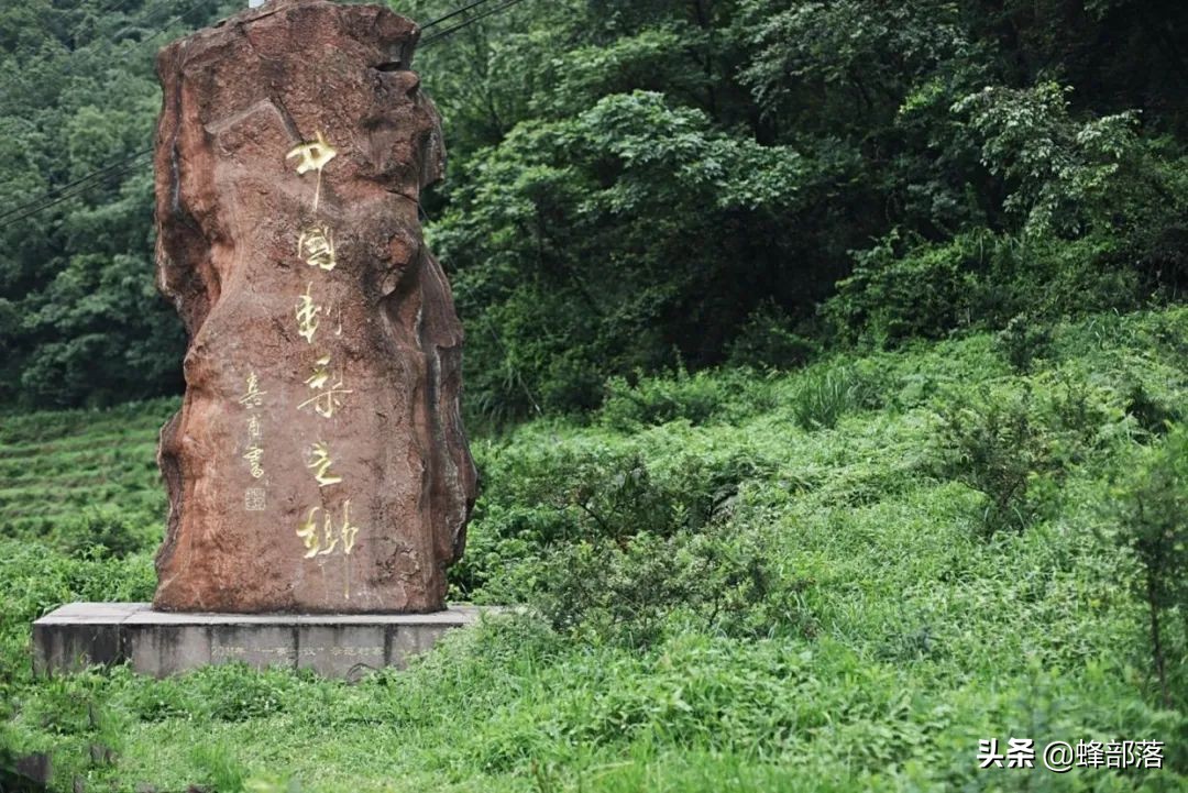 贵州特产刺梨哪个牌子好,贵州刺梨的来历