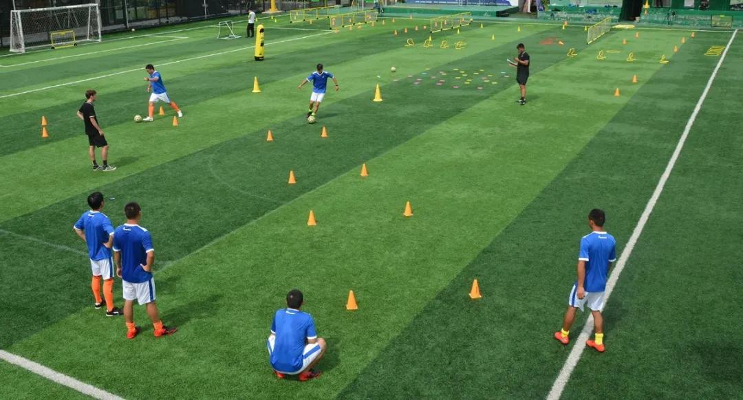 派迪茵教师培训,派迪茵体育中心