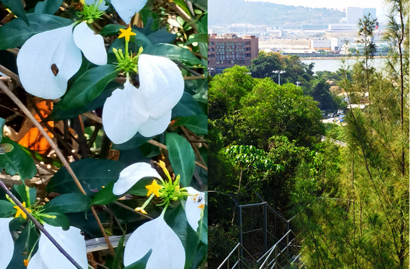 澳门3日美食游,澳门三日两夜美食