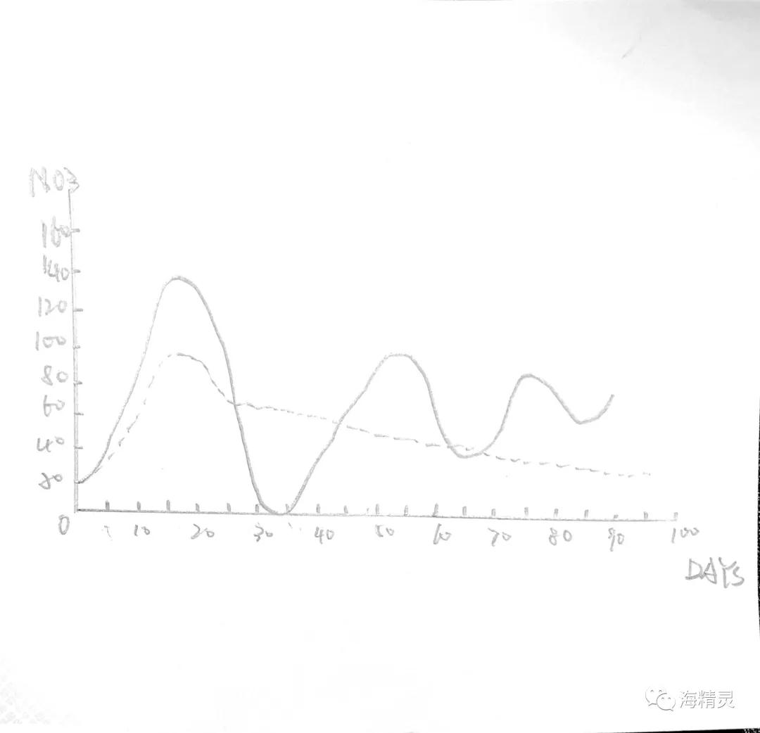 为什么容易爆藻,为什么有的人对鱼那么痴迷