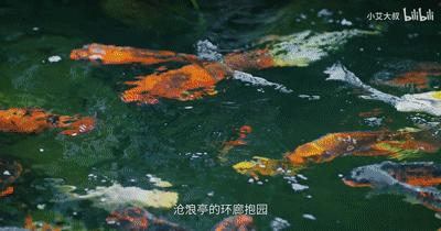 顶级轻奢豪宅屏风隔断,1.58亿豪宅