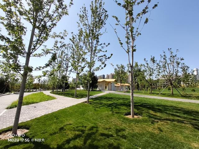 魅族17pro和三星note10+,三星s20和魅族17pro哪个好