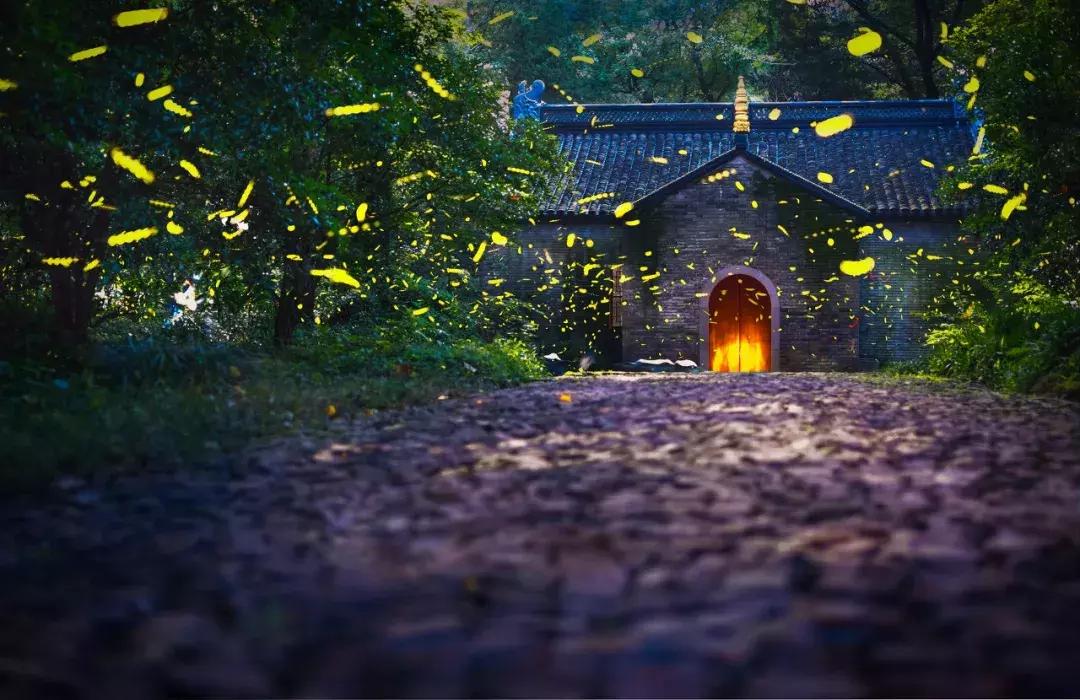 高铁高级软卧有多舒服,高铁软卧怎么睡觉