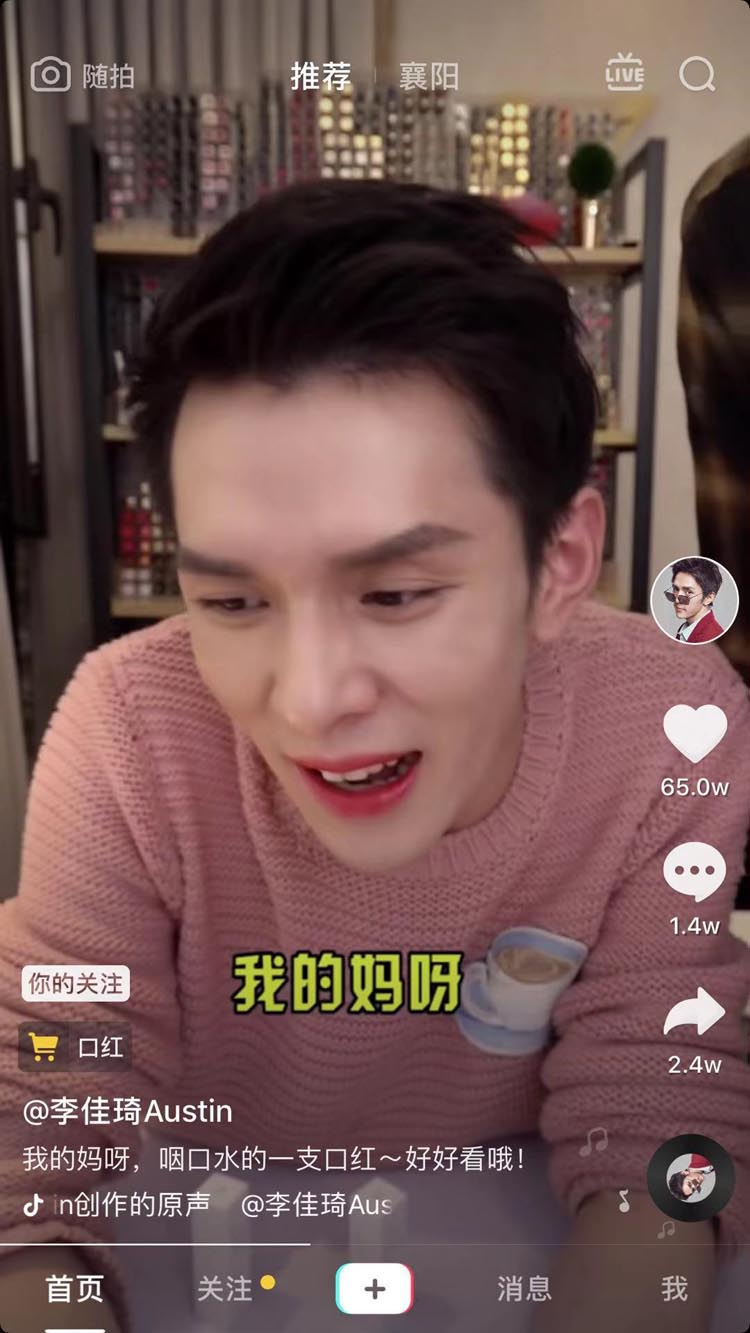 香缇卡干枯玫瑰色口红,香缇卡蜂鸟口红