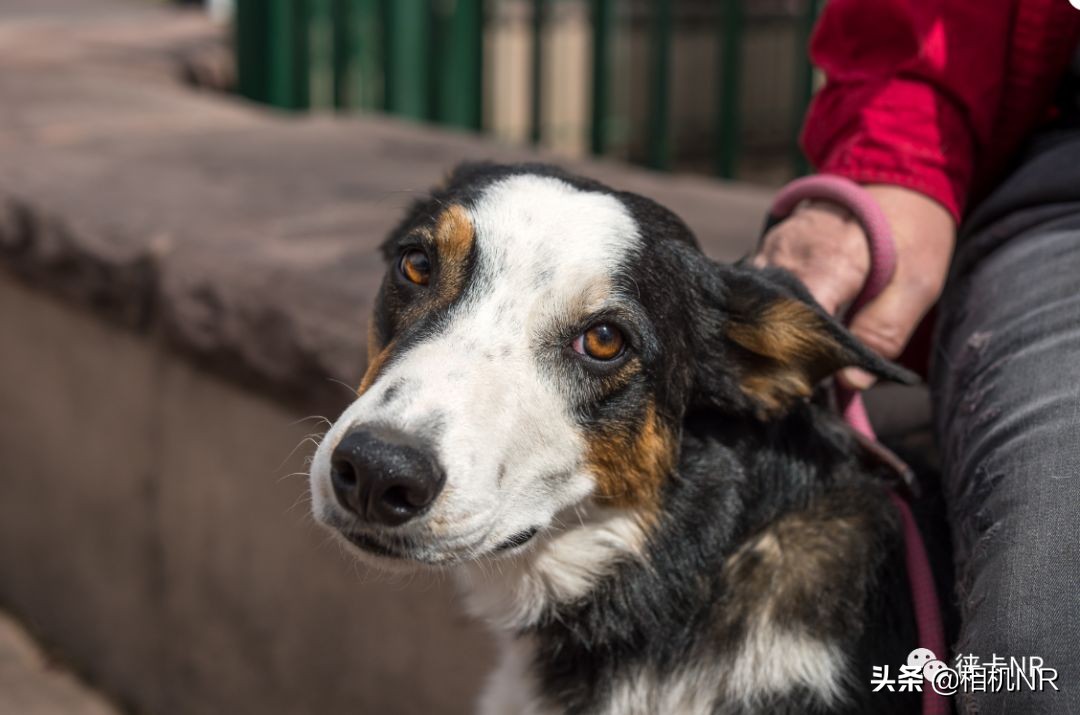 简单聊聊摄影,徕卡cl和tl2相机哪个好