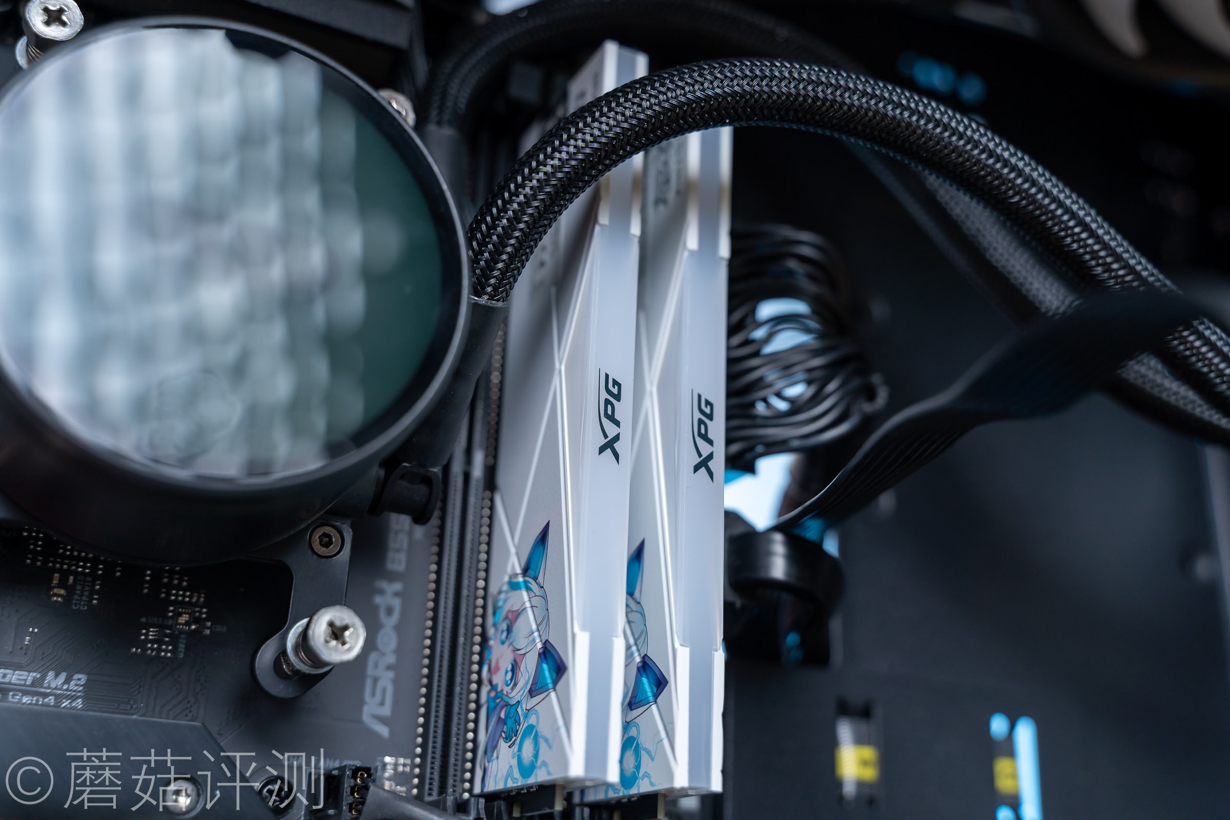 威刚龙耀d50吹雪联名用的什么颗粒,龙耀d50吹雪和普通版有什么区别