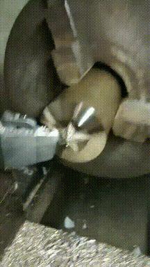 搞笑gif狗子我为这个家操碎了心,搞笑gif图片狗子都开始学坏了