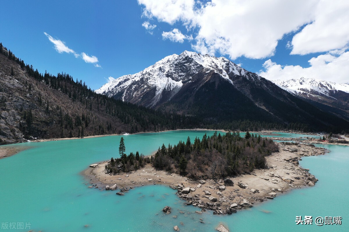 世说新语二则原文翻译完整版,世说新语五则原文及译文