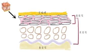 时雨老师护肤,小雨老师的油性肌肤