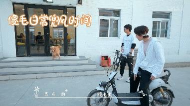 b站必看的综艺,b站能看的综艺推荐