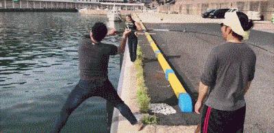 年度最搞笑沙雕动图,最近搞笑的动图