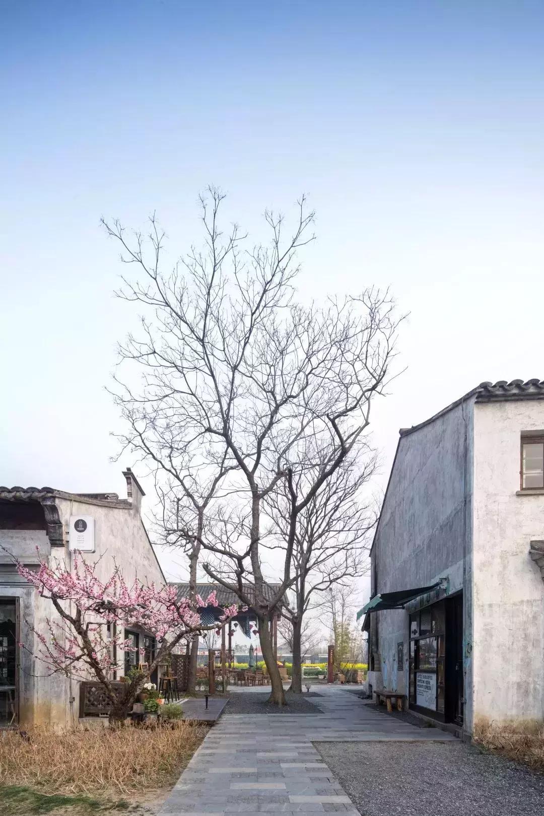 邹迎晞:“田园+乐园+家园”是田园综合体全产业链设计的实践之路