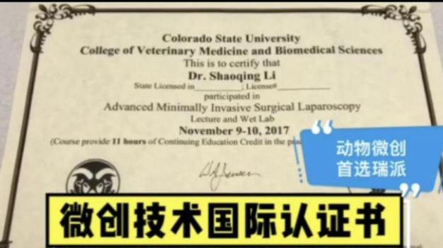 瑞派宠物医院猫咪绝育,瑞派宠物医院绝育套餐