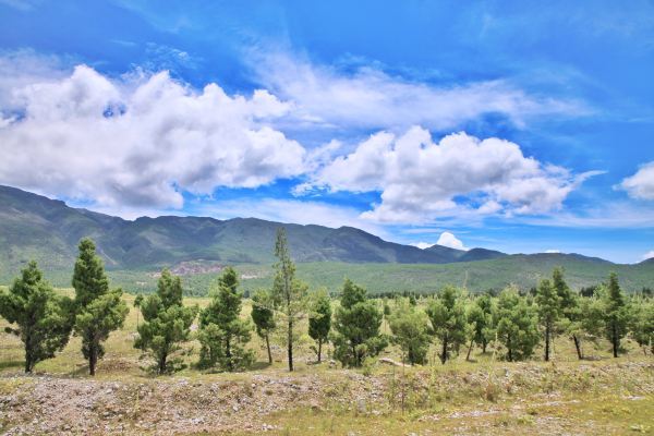 丽江小时光，遇见皆是欢喜