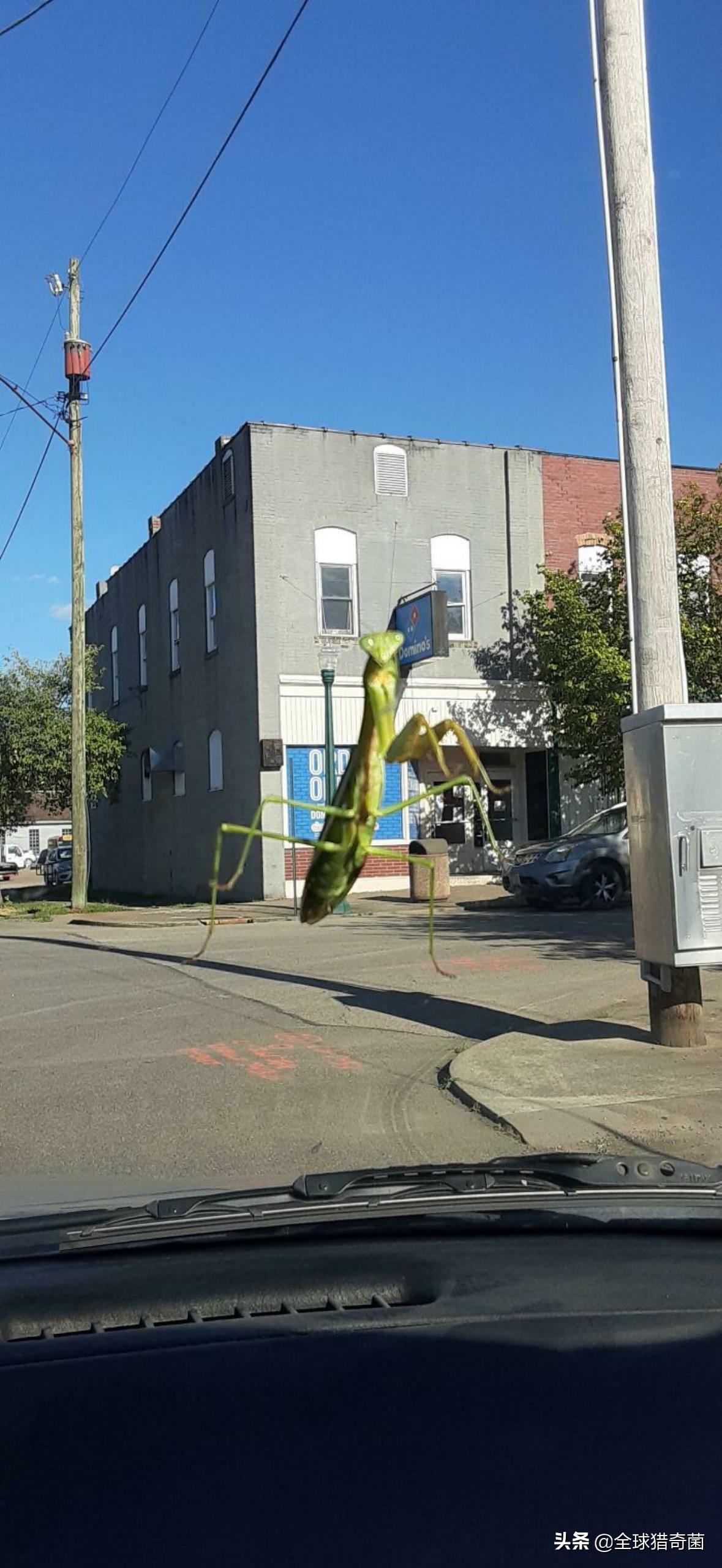 44张难以置信的图片,45张令人难以置信的图