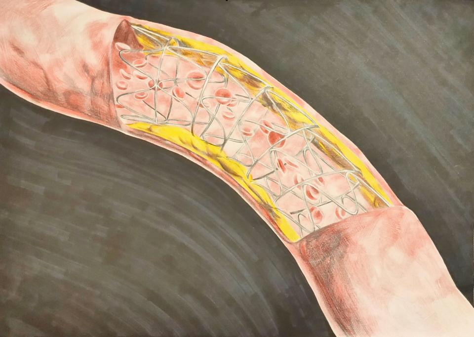 生命的故事绘本电子版,生命的故事图片