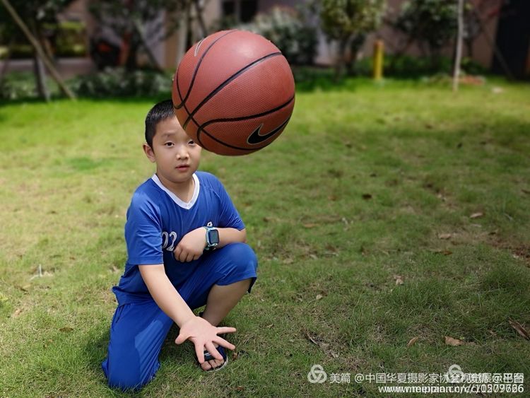 金色童年8张图片,金色的童年相片