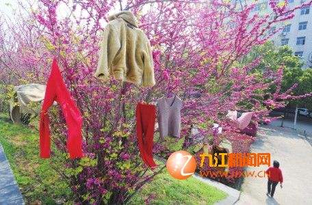 你会*绑捆**吗？看似简单的技能也蕴含科学原理，在生活中还真有用