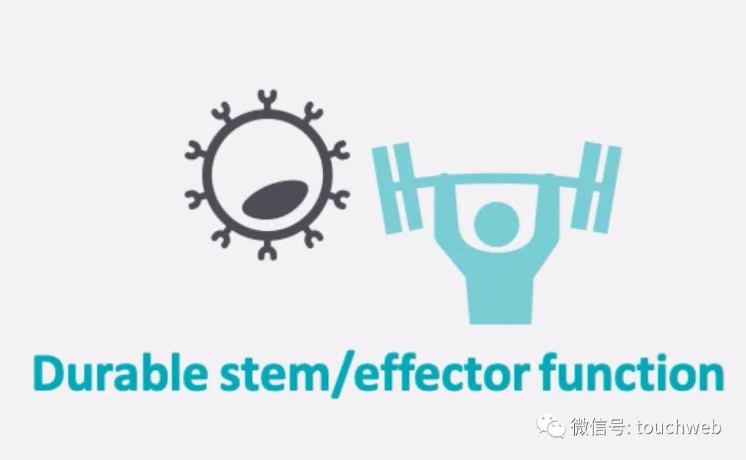 肿瘤免疫治疗公司Lyell冲刺美股：年亏2亿美元路演PPT曝光