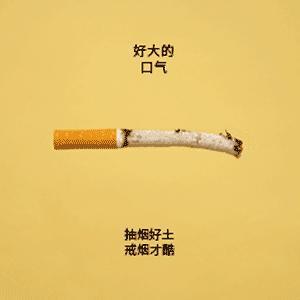 动脉斑块会掉下来吗？坦白说：不会！但导致斑块的危险因素要警惕