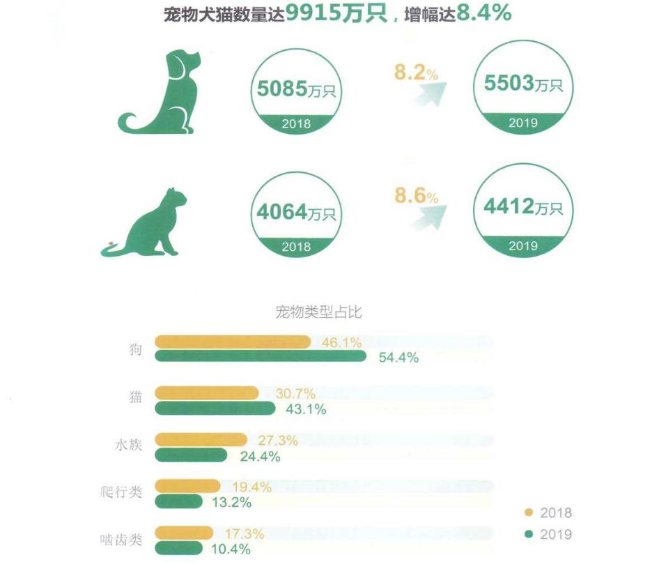 新手养什么狗小型犬便宜寿命长,什么样的宠物狗最好养温顺不生病