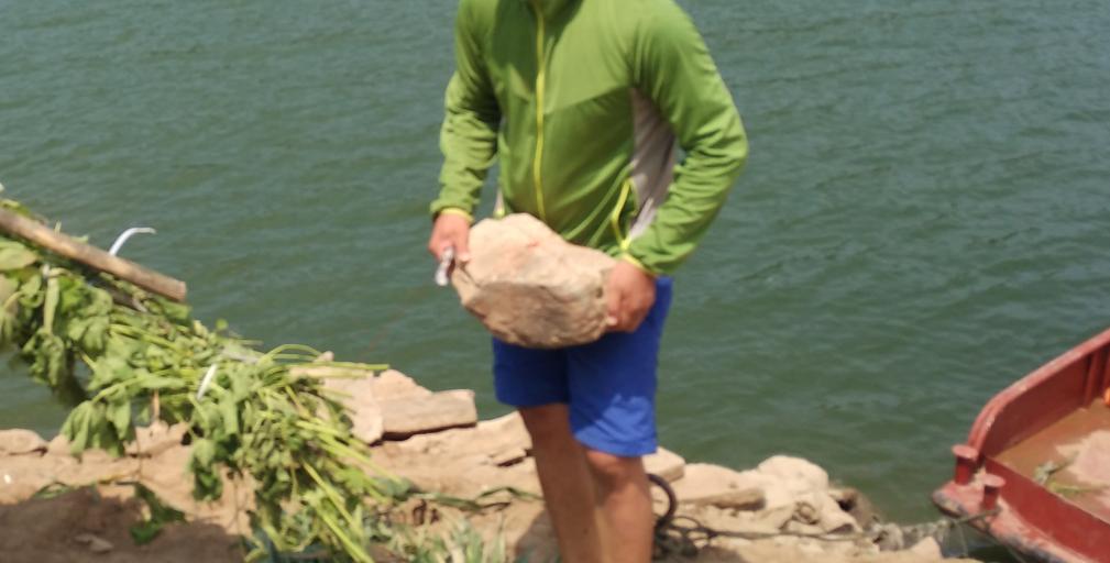 肥水草鱼窝料,综合塘草鱼窝料