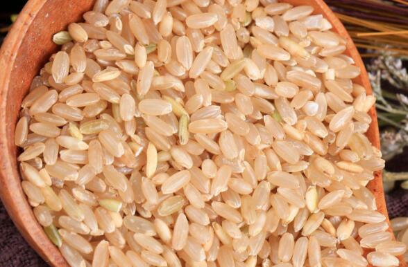 稻子小麦分不清,稻谷玉米分不清