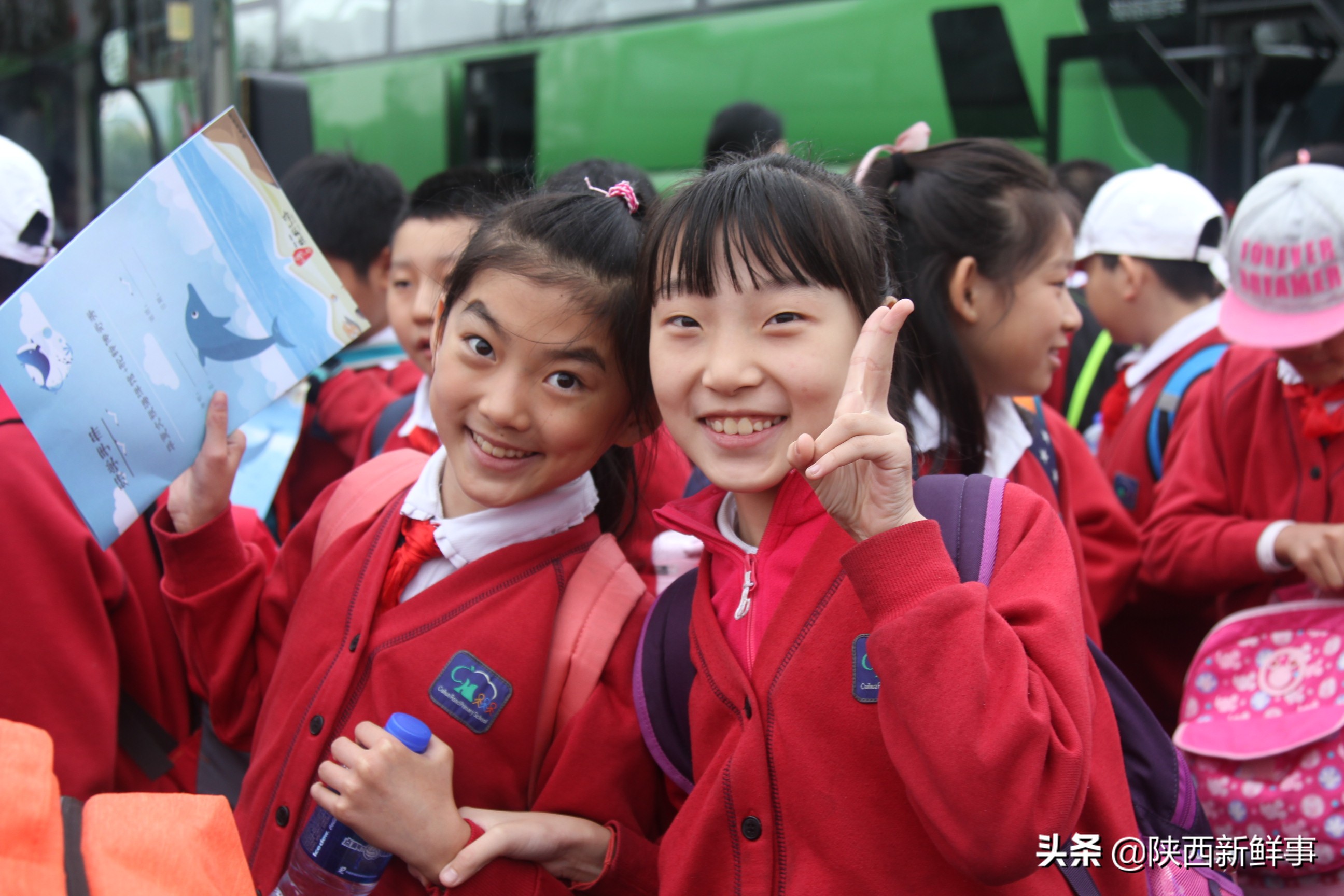 放飞海洋梦想感受丝绸传奇观后感,放飞海洋梦想感受丝路传奇研学题