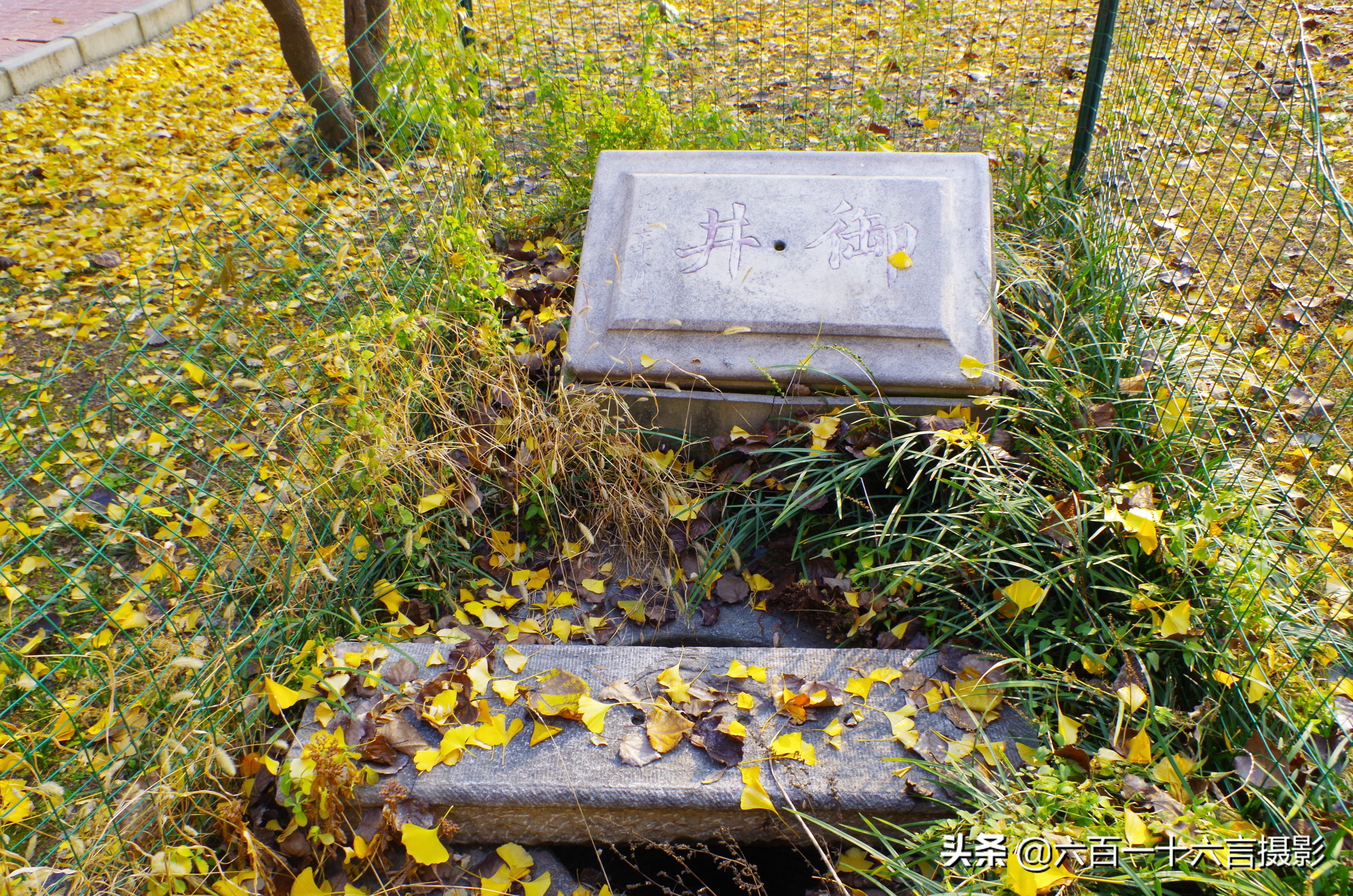 这里是正定04:传说中的御井长这样