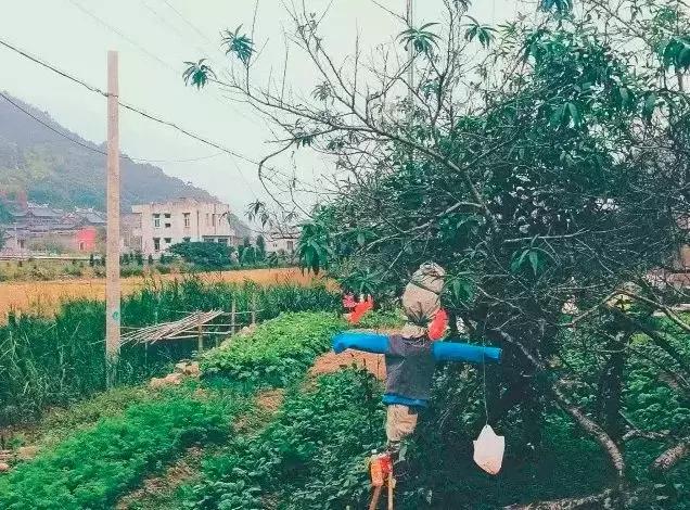 比厦门安静的地方,比厦门安静的海滨城市