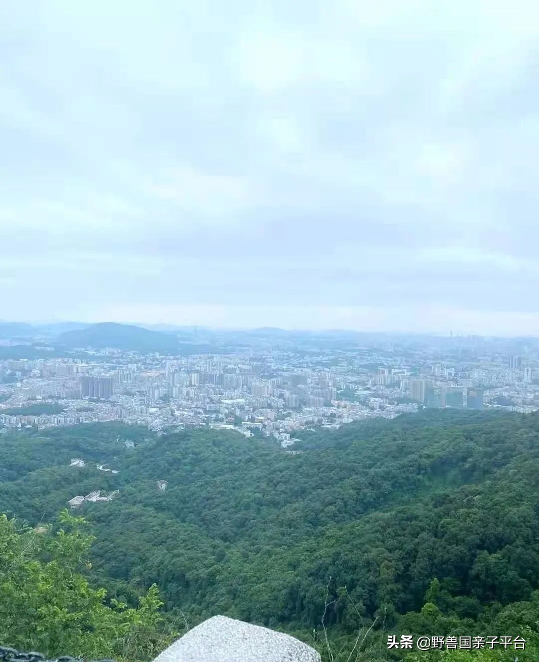 广州遛娃旅游推荐路线攻略,广州遛娃清单升级版