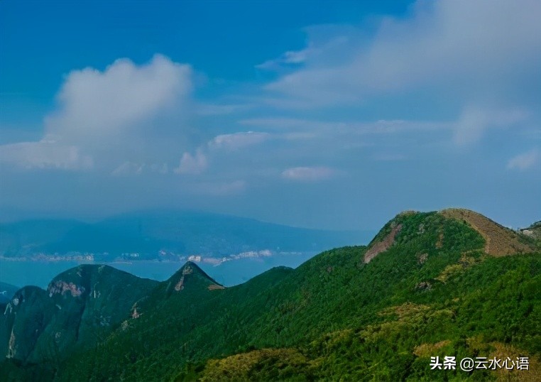 王安石诗词最佳十首五言绝句,王安石古诗最佳十首