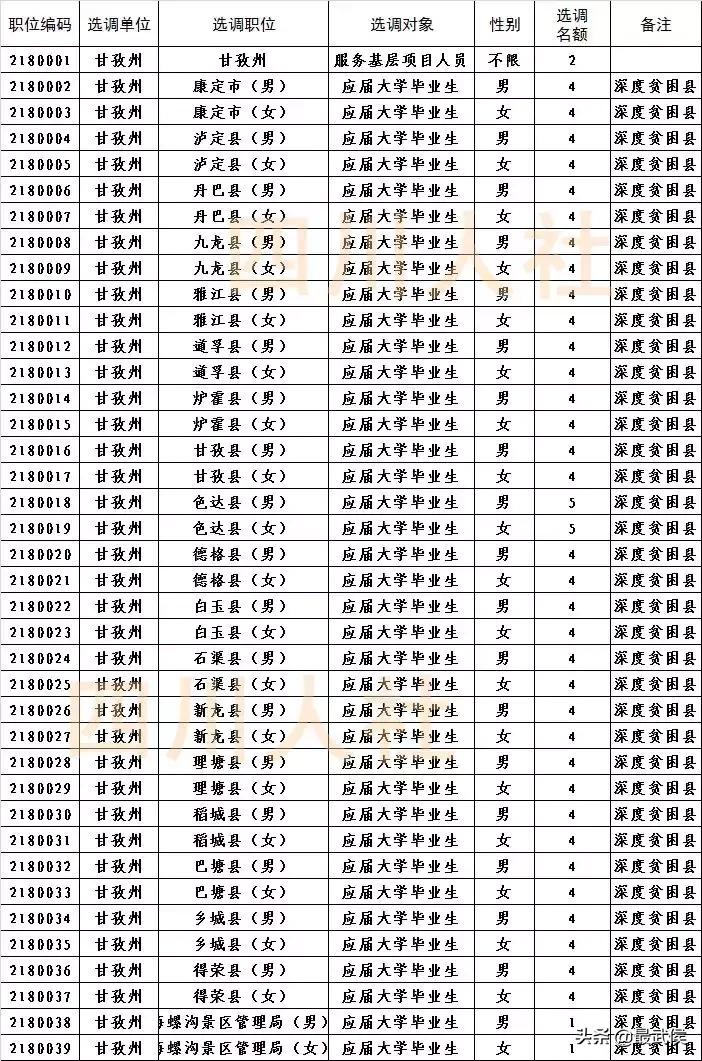 四川选调生2024选调公告官网,四川选调生2024选调公告名额