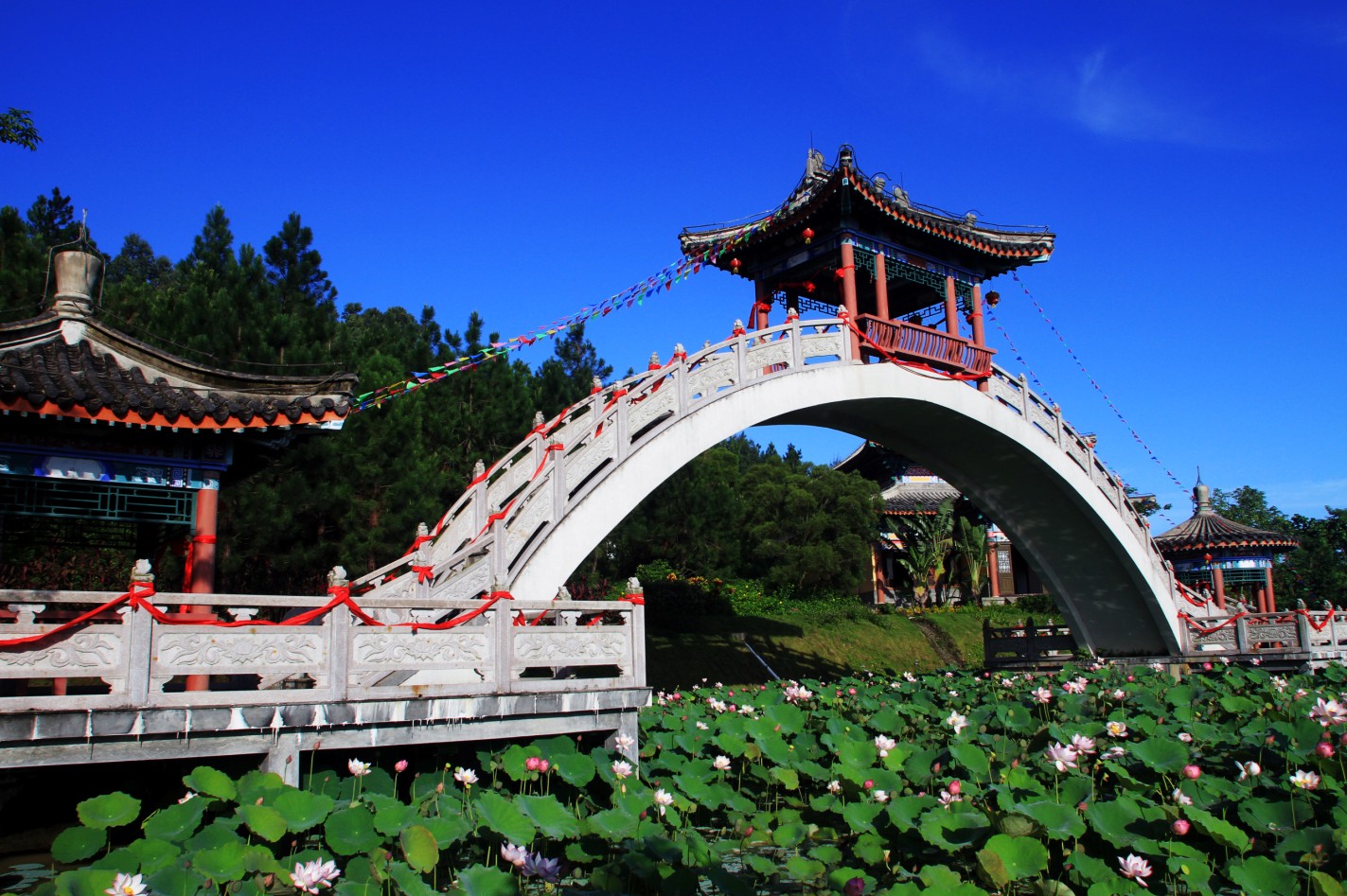 定安活力游玩,定安旅游