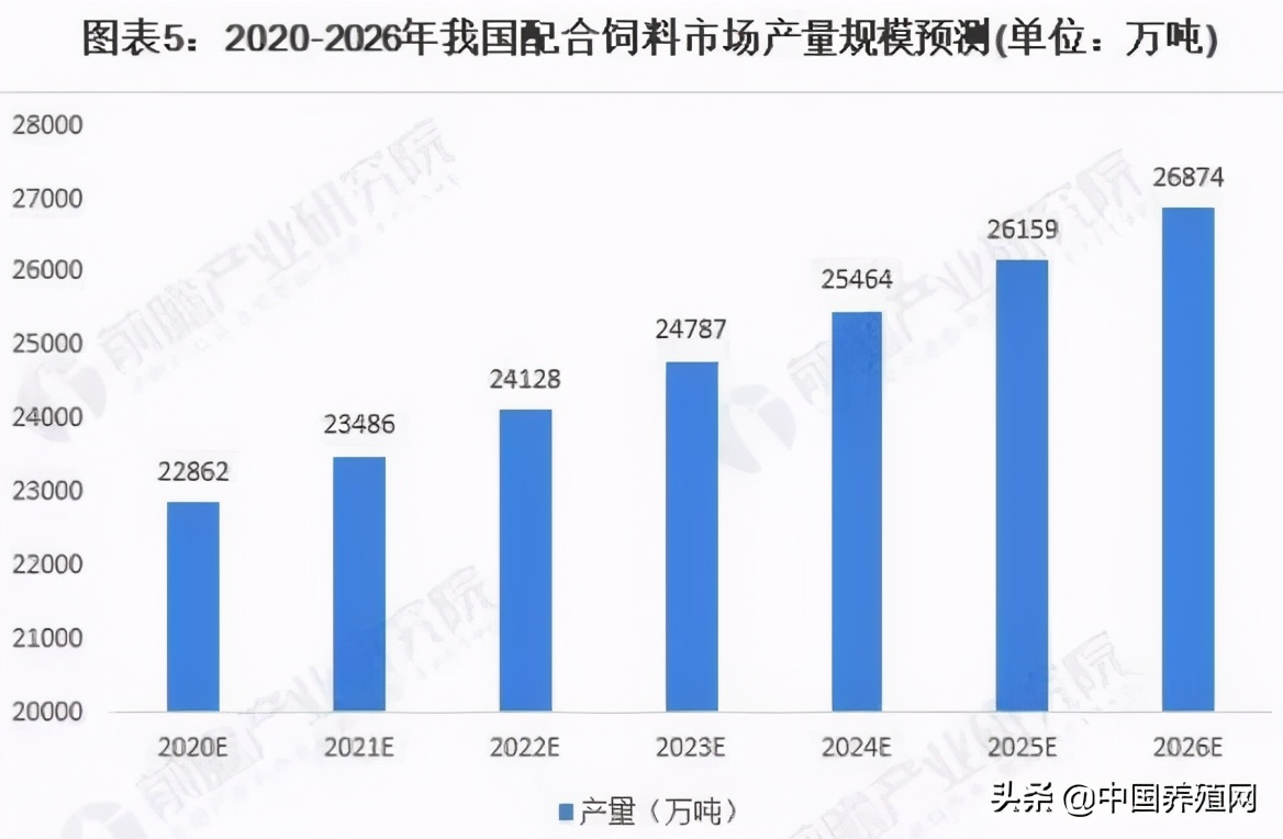 2022饲料行业的现状与发展趋势,2021年饲料行业分析