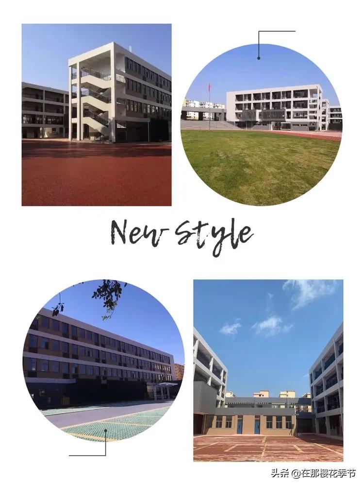 赣县稀金二小教学质量,赣县区稀金第二小学学费