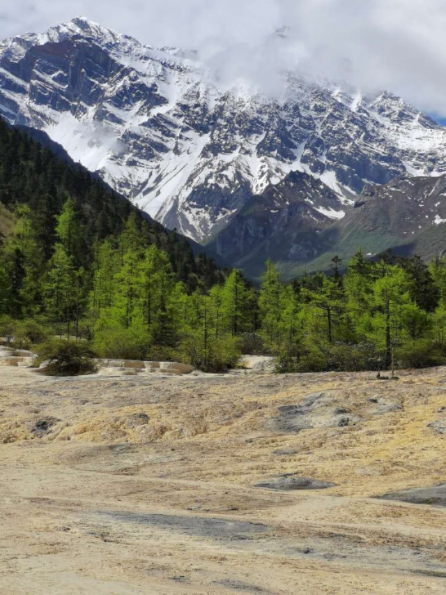 游览被誉为人间瑶池的四川黄龙,黄河之水天上来景区视频