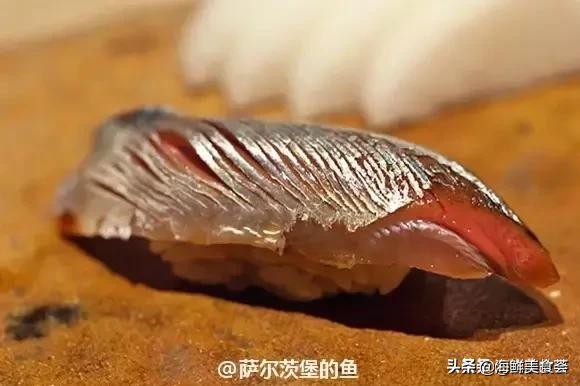 各种寿司纯鲜三文鱼刺身,日本传统寿司都用什么鱼