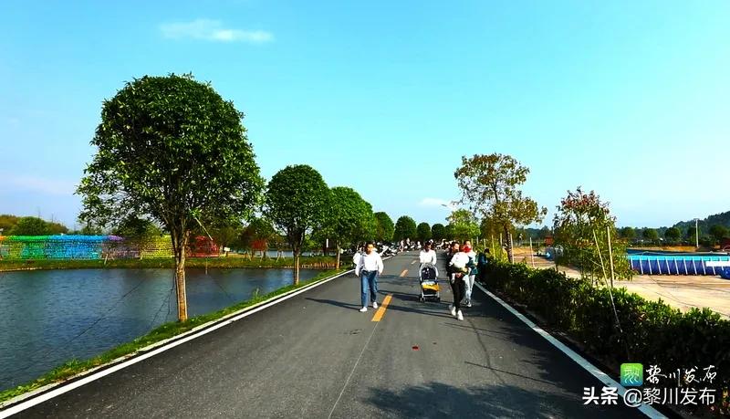 聚龙山赏花,聚龙湖畔好风景