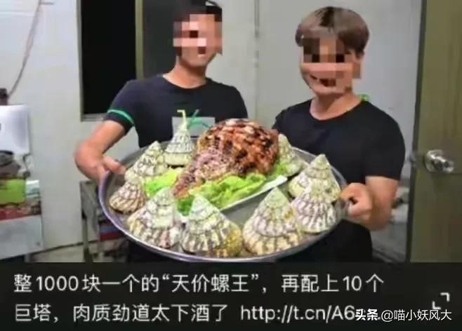 吃海螺犯法吗,吃海螺也犯法吗